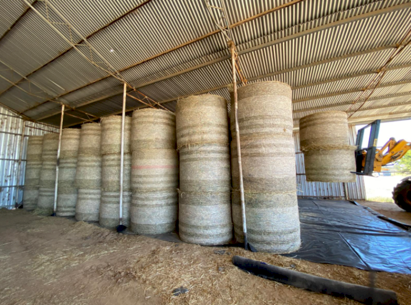 120 x Oaten Hay 450kg+ 5x4 Rolls