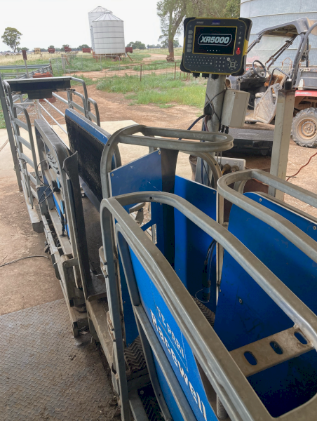 Tepari HD3 Sheep Handler