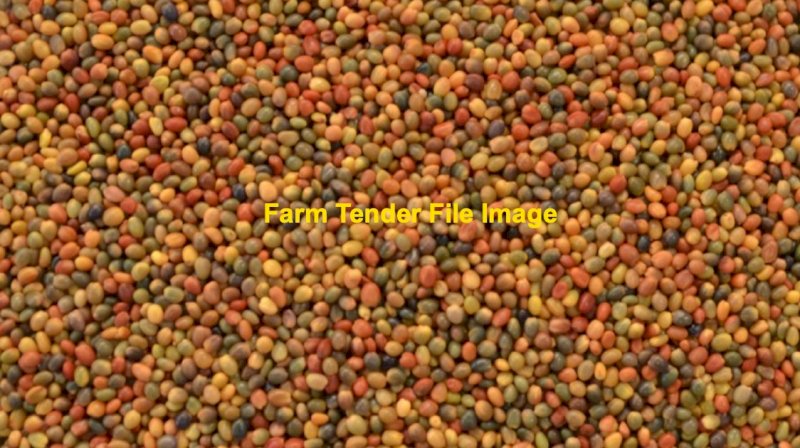 WANTED Annual Ryegrass and Clover Seed or Perennial