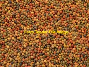 WANTED Annual Ryegrass and Clover Seed or Perennial