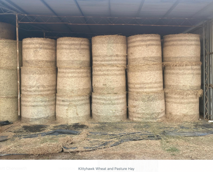 150 x Wheaten & Pasture Hay 5x4 Rolls