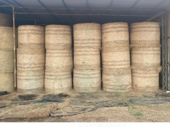 150 x Wheaten & Pasture Hay 5x4 Rolls