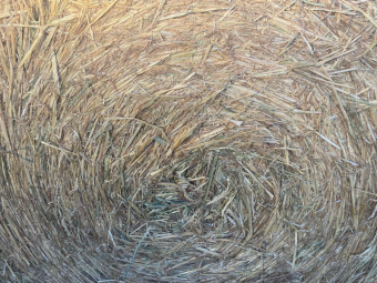 150 x Wheaten & Pasture Hay 5x4 Rolls