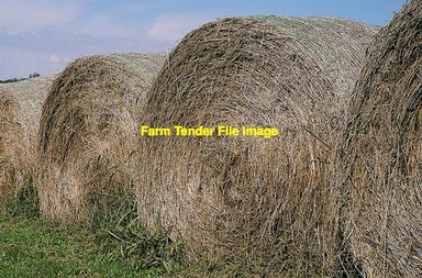 WANTED Hay
