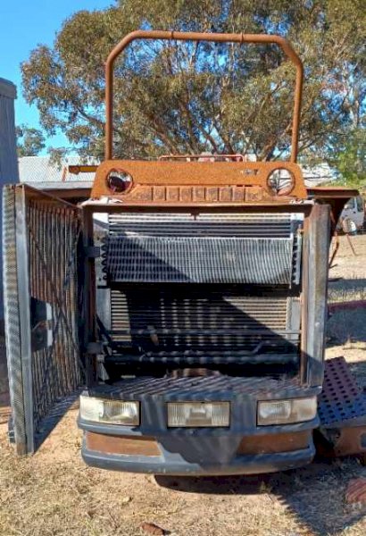 Grill Headlight Assembly