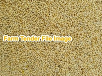8 to 10mt  Rebound Millet
