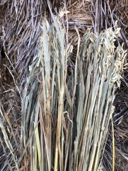 110mt Oaten Hay 630kg 8x4x3 Bales