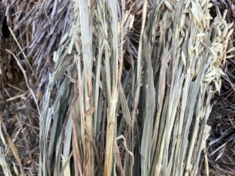 110mt Oaten Hay 630kg 8x4x3 Bales