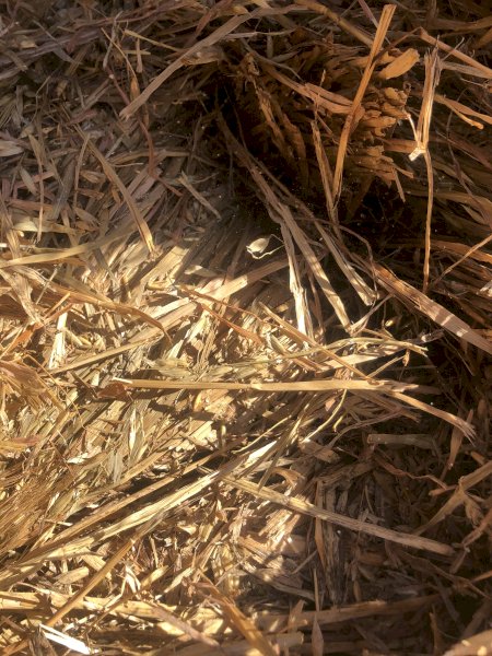300mt Oaten Hay 600kg 8x4x3 Bales