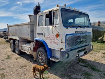 Under Auction - (A248) 1979 International 2670 Tipper Truck 