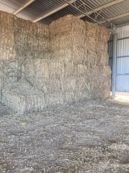 2020 Oaten Hay