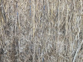 2020 Oaten Hay