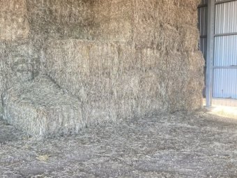 2020 Oaten Hay