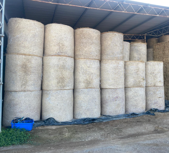 60 x Lucerne Pasture Hay 4x4 Round Bales