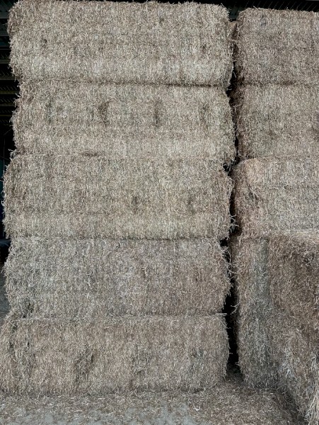 290mt Vetch Hay 580kg 8x4x3 Bales