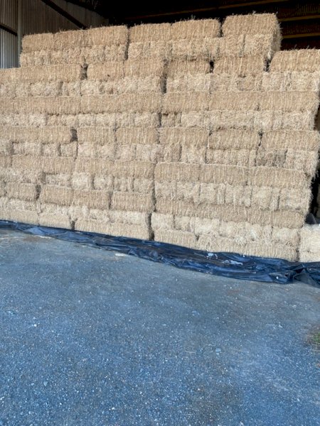 3000 X Lucerne Hay Small Square Bales