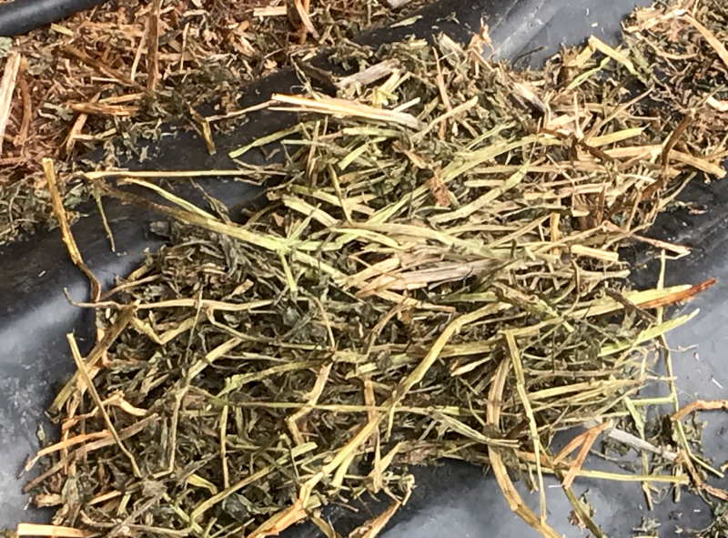 80mt Vetch Hay 630-650kg 8x4x3 Bales