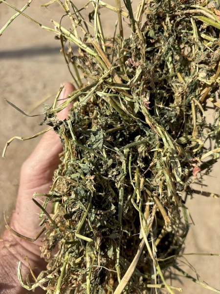 140mt Lucerne Hay 580-600kg 8x4x3 Hay