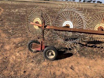 Vicon 6 Wheel Rake