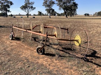 Vicon 6 Wheel Rake