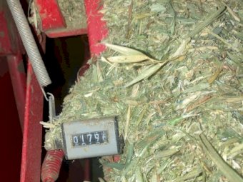 1700 x Oaten Hay Small Squares