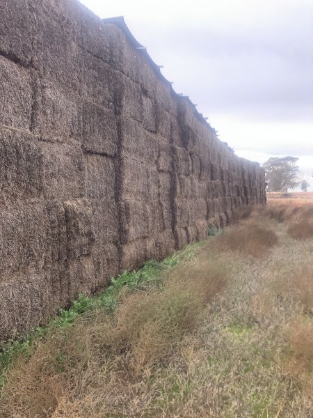100mt Vetch Hay 500kg 8x4x3 Bales