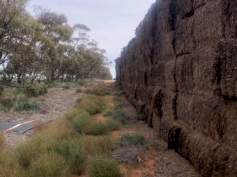 150mt Vetch Hay 500kg 8x4x3 Bales
