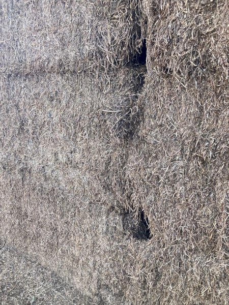 50mt Vetch Hay 500kg 8x4x3 Bales