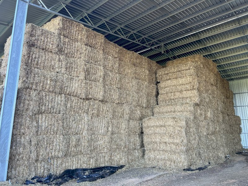 100mt Oaten Hay 8x4x3 Bales