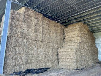 100mt Oaten Hay 8x4x3 Bales