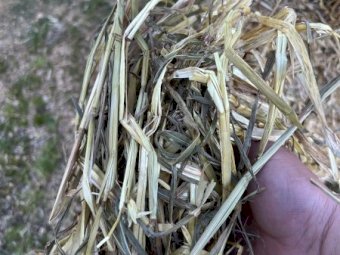 100mt Oaten Hay 8x4x3 Bales