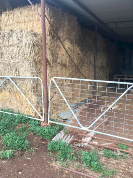 70-80mt Oaten Hay 8x3x3 Bales