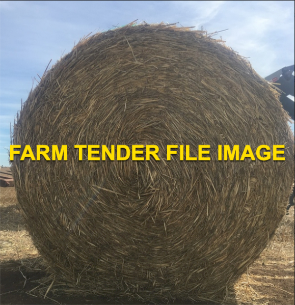 500 X Wheaten Straw 5X4 Rolls
