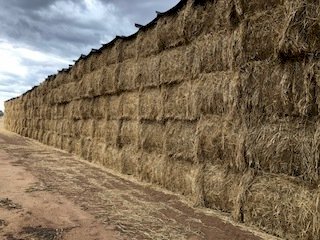 Wheaten Straw