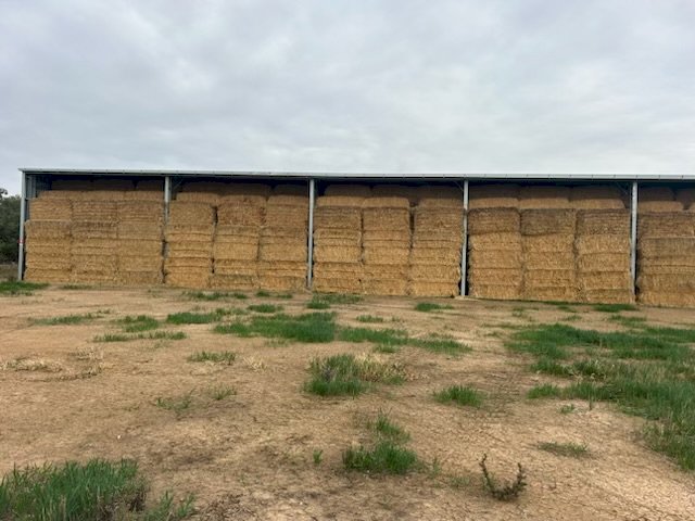 23/24 Season Shedded Oaten Hay
