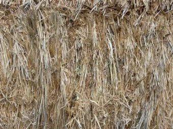 23/24 Season Shedded Oaten Hay