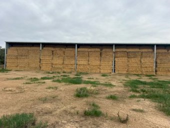23/24 Season Shedded Oaten Hay