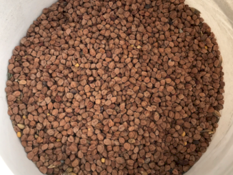 23mt Captain Desi Chickpeas