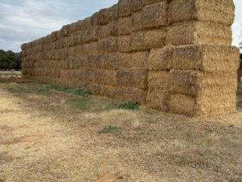 40 mt Oaten Hay """Offers"""