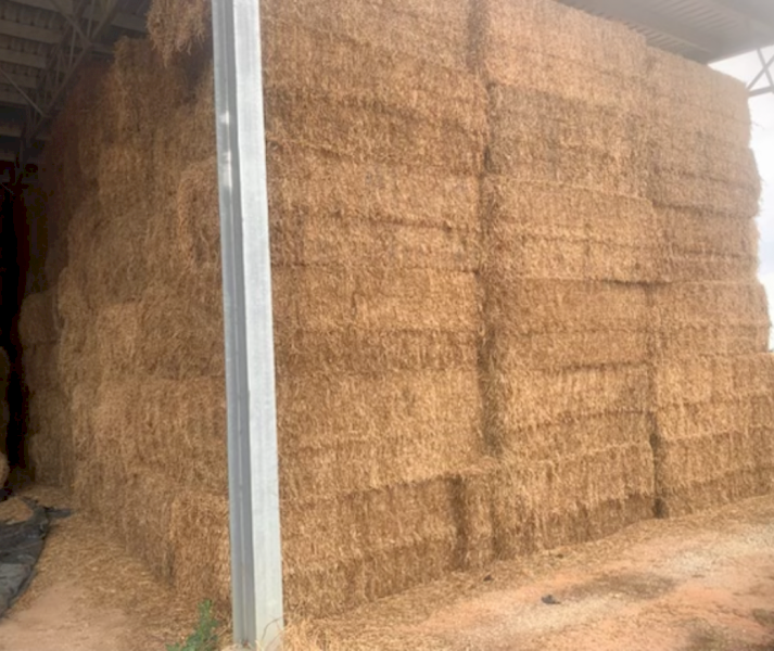 300mt Vetch Hay 620kg 8x4x3 Bales
