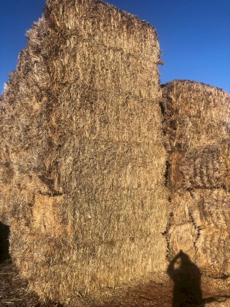 300mt Oaten Hay 8x4x3 Bales
