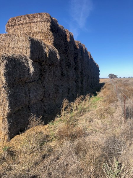 150mt Oaten Hay 500kg 8x4x3 Bales