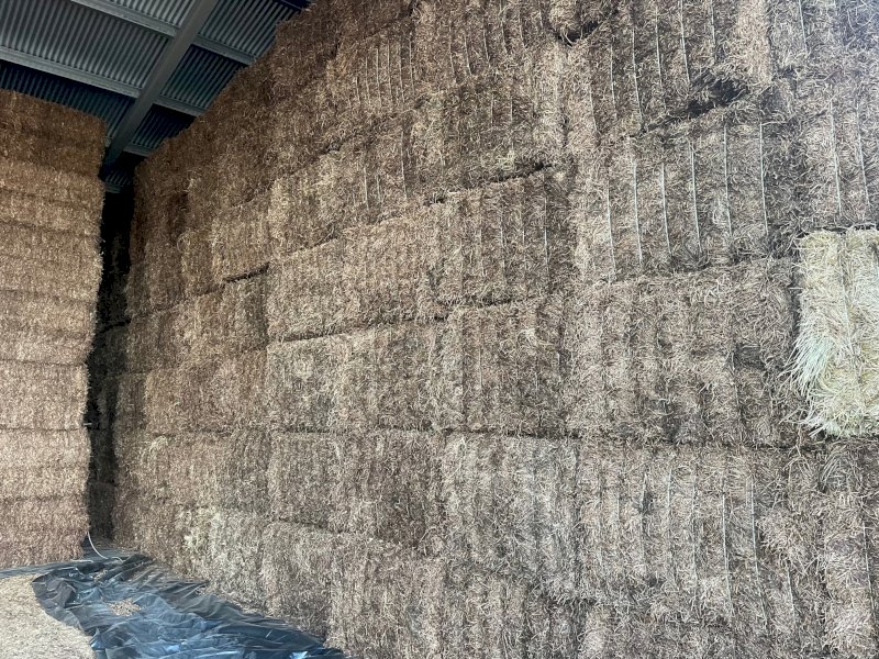 2022 Season Vetch Hay