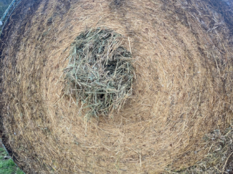 2023 Lucerne 6x4 rounds