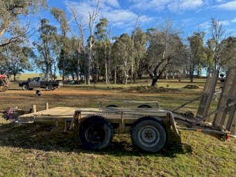 1995 Rogers Tandem Axle Plant Trailer