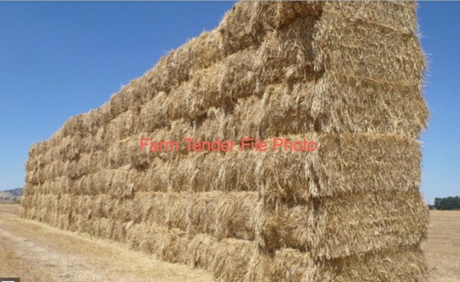 80mt Barley Hay 650kg 8x4x3 Bales