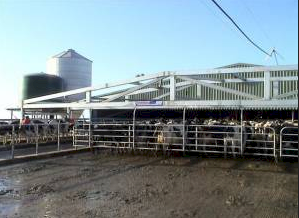 WANTED Backing Gate