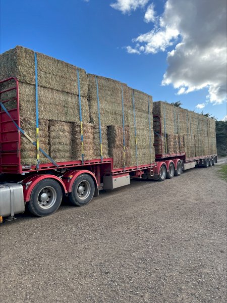 160mt Vetch Hay 620kg 8x4x3 Bales