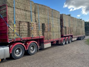 160mt Vetch Hay 620kg 8x4x3 Bales