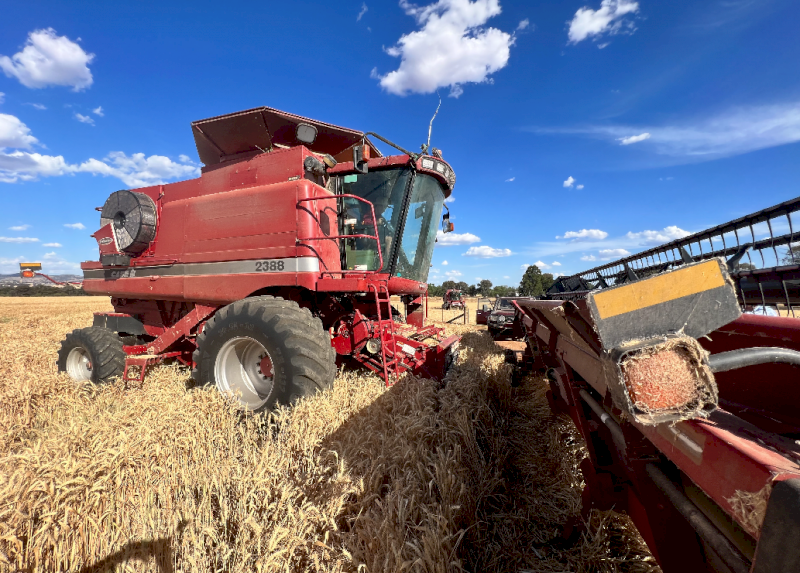 2004 Case 2388 X-Clusive Header with 30ft 1010 Front & 1015 Canola Pick up Front